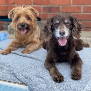 Meet your Posher, Nick